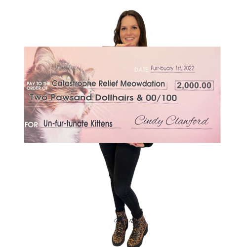 Large Check Example