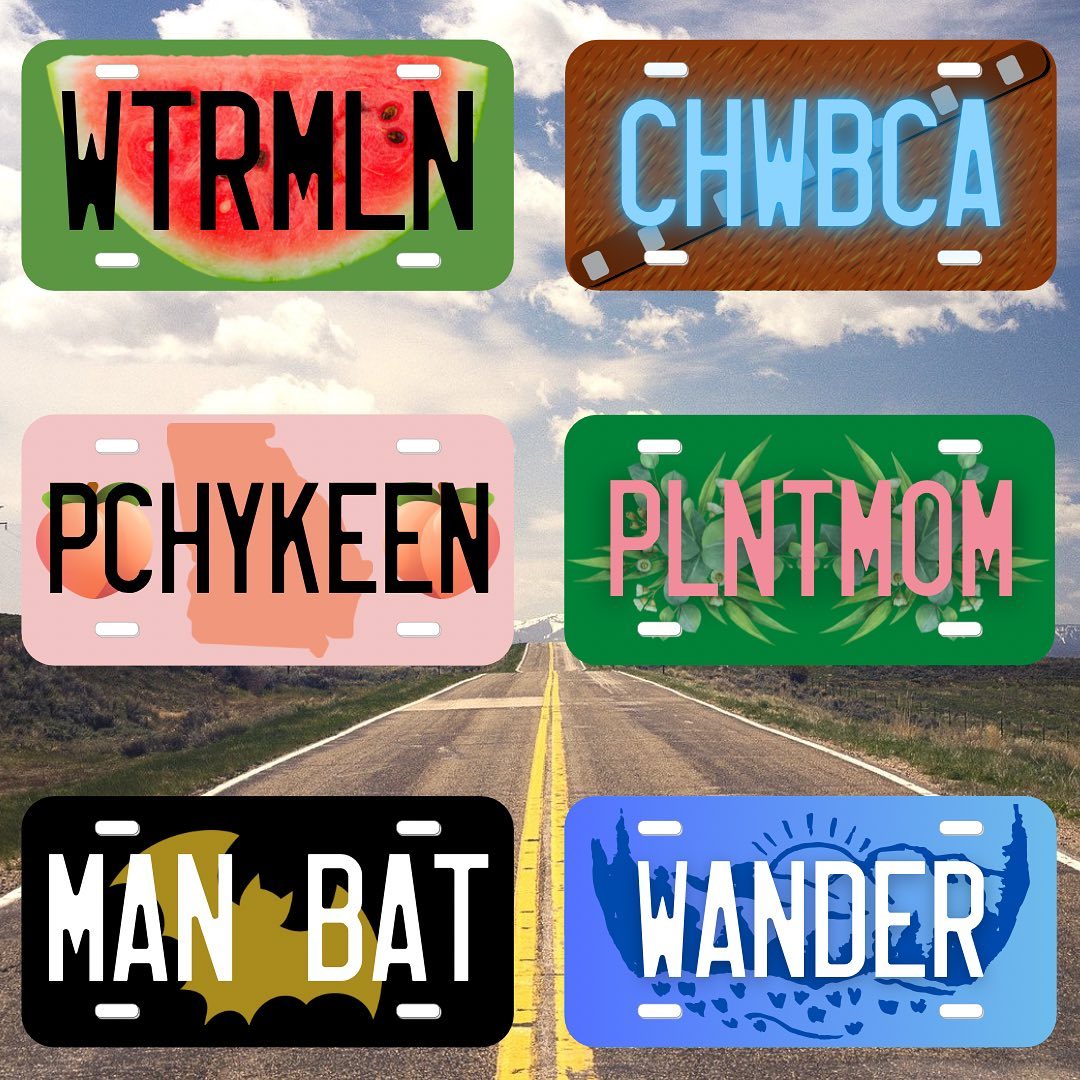 license plate examples